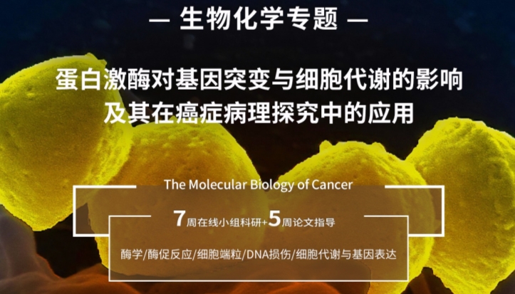 耶鲁大学蛋白激酶研究专题项目