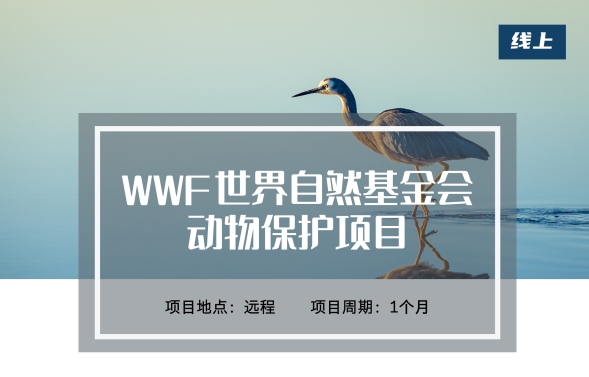 WWF世界自然基金会:动物保护项目(远程)
