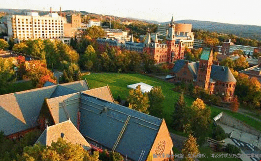 康奈尔大学.png 康奈尔大学.png