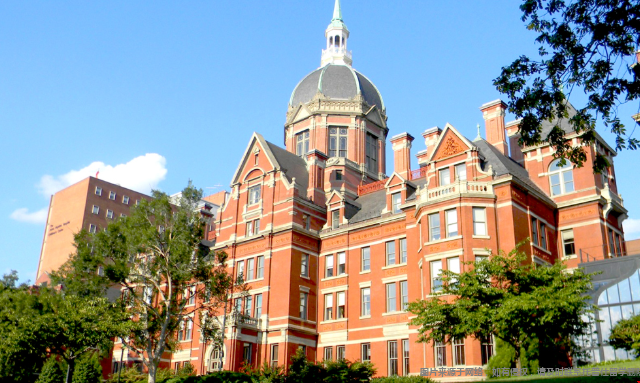 如何确定美本申请专业方向 如何确定美本申请专业方向