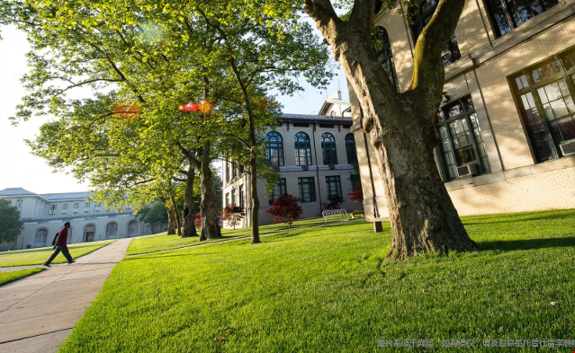 美本招生整体评估看什么 美本招生整体评估看什么