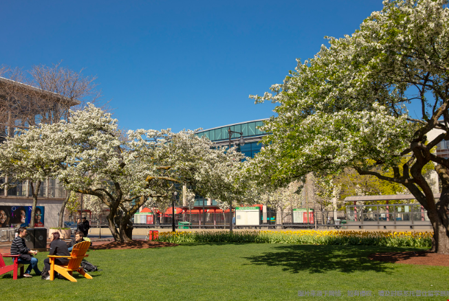 美国硕士留学最受欢迎的专业 美国硕士留学最受欢迎的专业