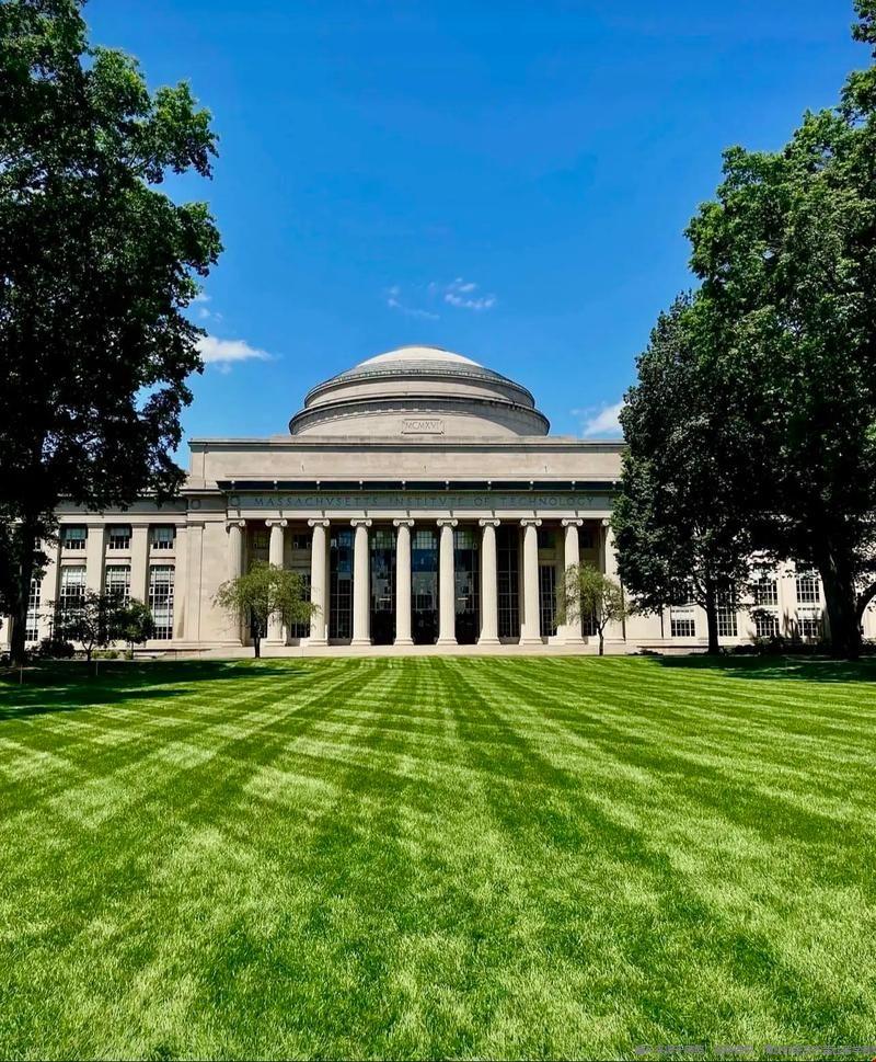 1773033927623098.jpg u=139559121,4269699206&fm=253&app=138&f=JPEG.jpg