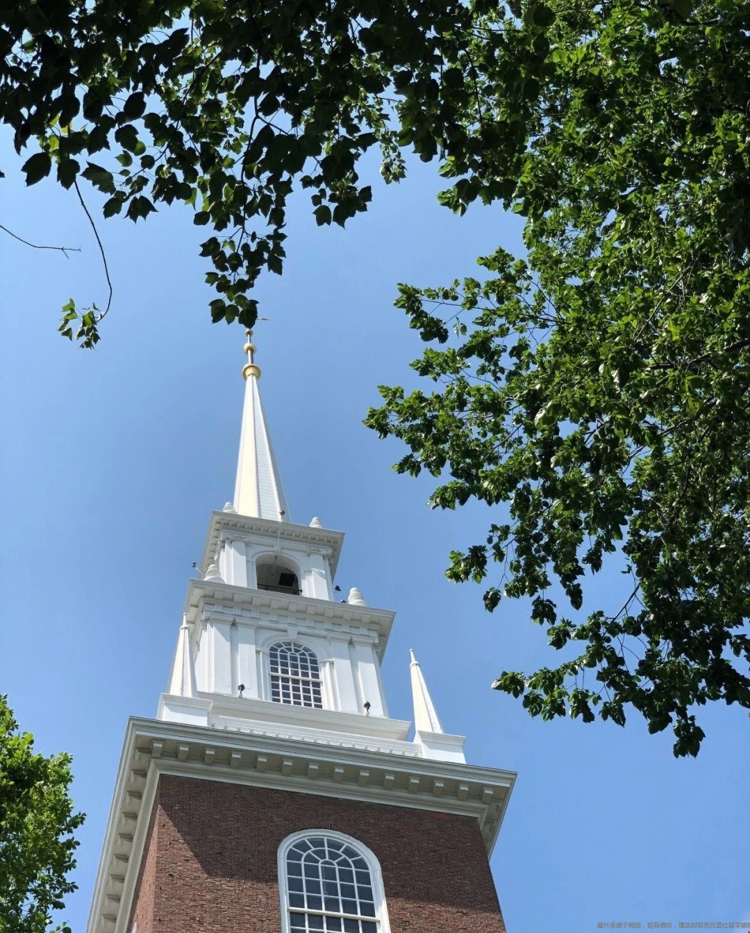 1773884446388319.png 3.png