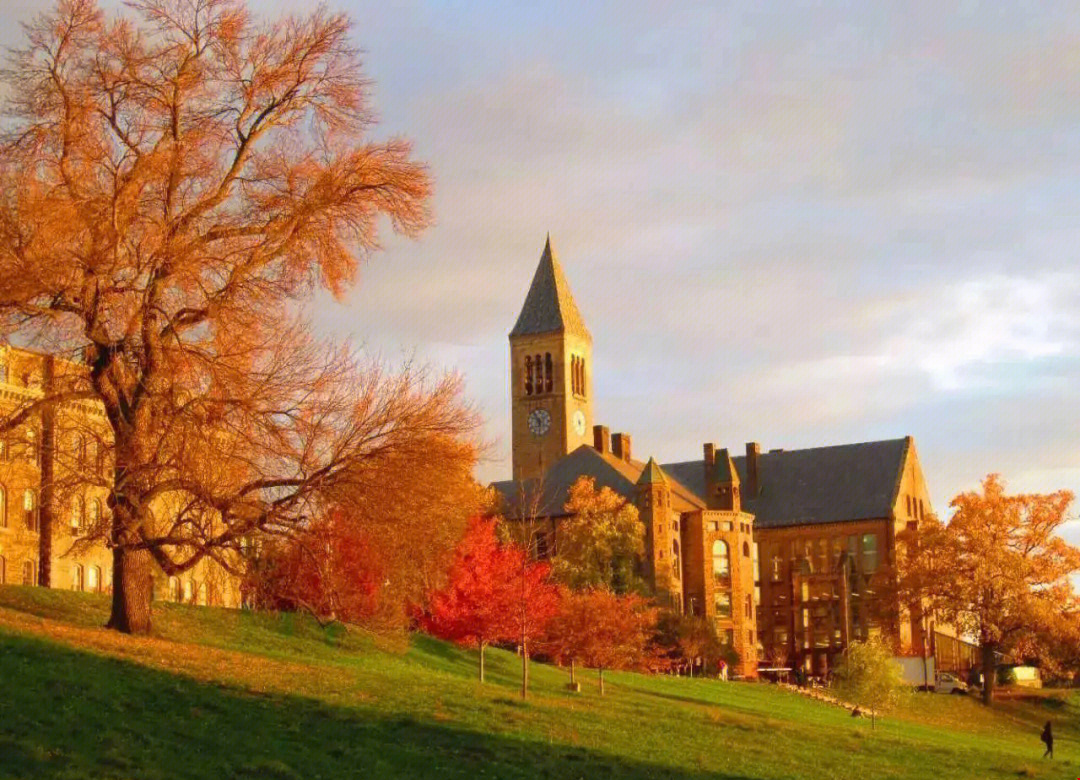 1773970175208080.png v2-b438a244d00e6e7d7dfbaf948b96e9e6_r.png